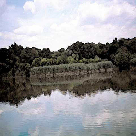 aa018.jpg